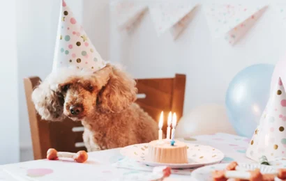 pawtyclubs-blog-birthday